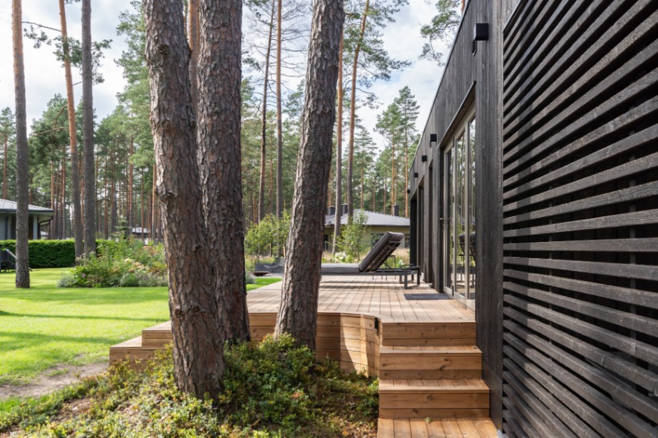 Insulated sauna house with a burnt wood  cladding