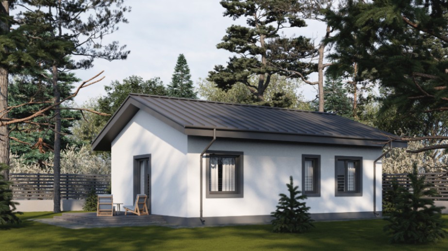 Vienstāvu dzīvojamā māja - 100