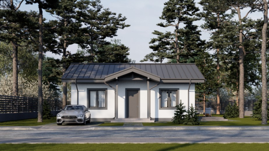 Vienstāvu dzīvojamā māja - 100